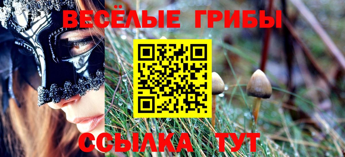 Псилоцибиновые грибы мухоморы Алейск